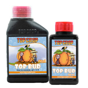Top Bud 100cc