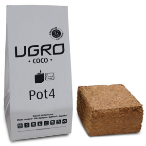 Ugro coco Pot4