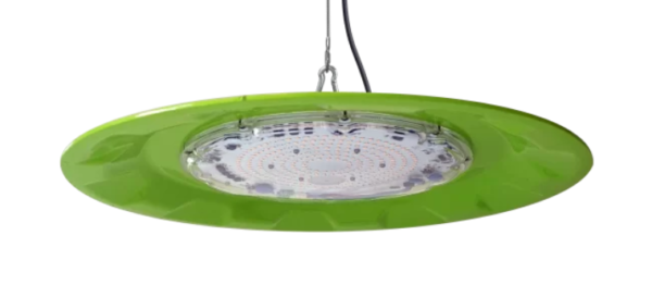 Cogordo C800 150w