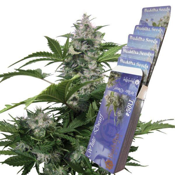 White Dwarf Auto x3