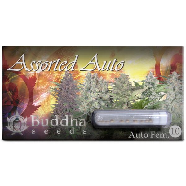 Assorted Auto x10