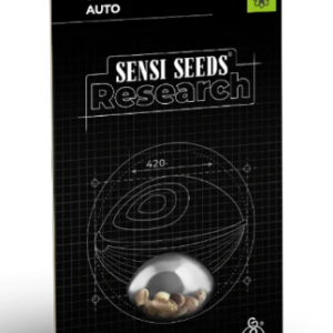 Sensi Amnesia XXL Autofloreciente x3