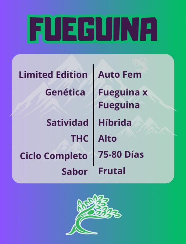 Fueguina 2.0 Autofloreciente x1 - Image 2