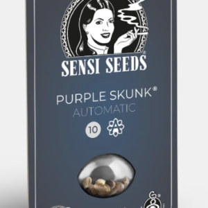 Purple Skunk Autofloreciente x3