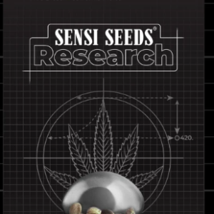 Mandarin Punch Fotoperiodica Fem x3