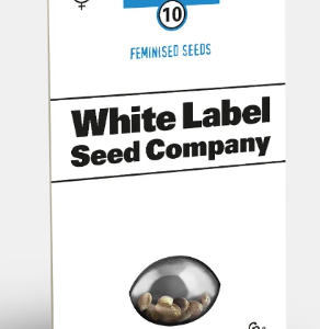 Girl Scout Cookies Fotoperiodica Fem x3