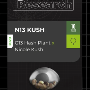 N13 Kush Fotoperiodica Fem x3