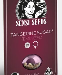 Tangerine Sugar Fotoperiodica Fem x3