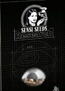 Critical Runtz Fotoperiodica Fem x3