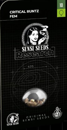 Critical Runtz Fotoperiodica Fem x3