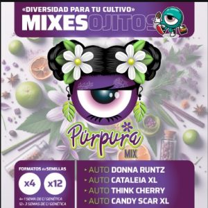 Auto Purpura Mix x4