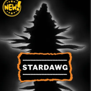 Auto Stardawg x3